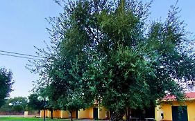 Nuraghe Ruiu Eco-camping Village Norbello